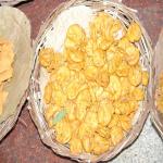 Vraj-Yatra-2014- (975)